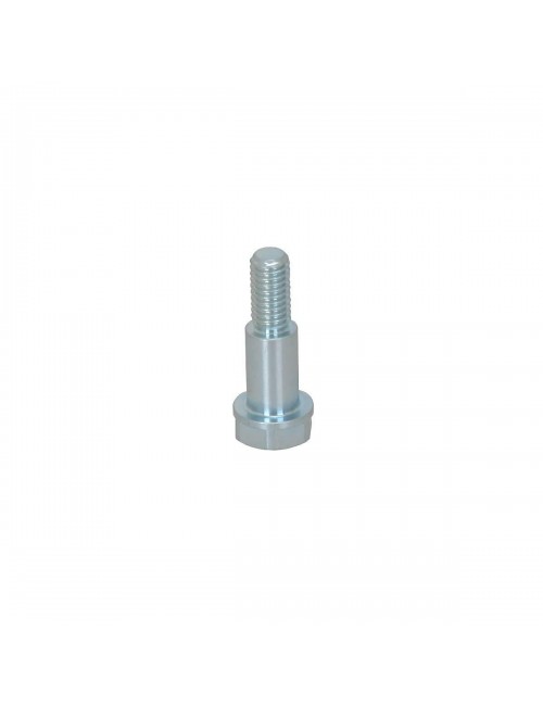 Vis M6-D8 L.12,2mm pour Disque de Frein Flottant Arrière