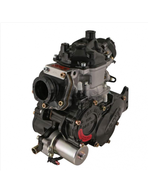 ROTAX 125 MAX EVO