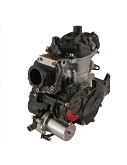 ROTAX 125 MAX EVO