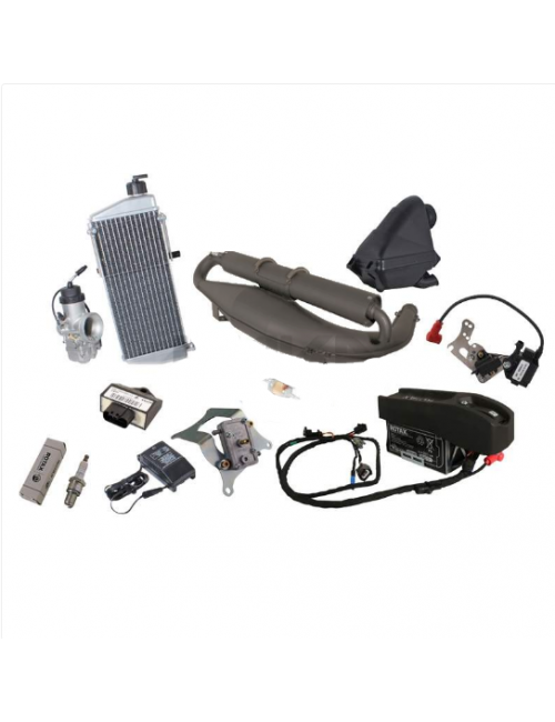 ROTAX 125 MAX EVO