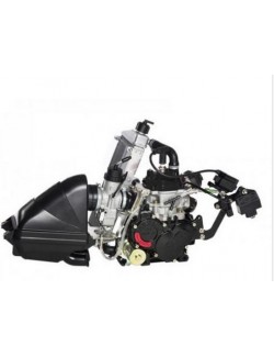 ROTAX 125 MAX EVO