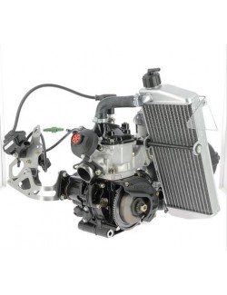 ROTAX 125 MAX EVO