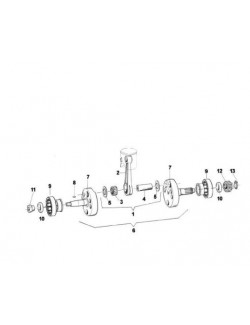 PIGNON VILEBREQUIN Z18 R1 TM