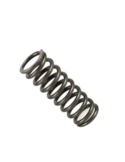 (4) Clutch spring TM