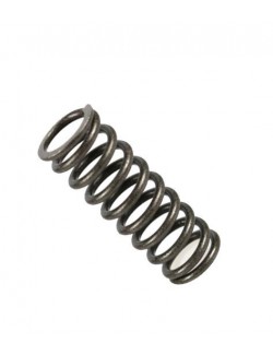 (4) Clutch spring TM