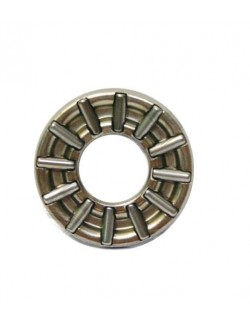 CAGE RADIAL  TM (6)