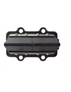 174A Boîte à clapets complète avec clapets carbone X30
