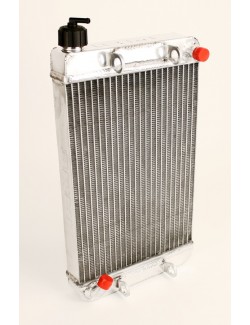 Radiateur 410mm iame