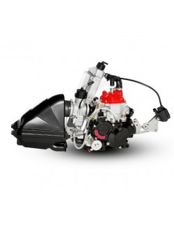 Moteur Rotax 125 JUNIOR MAX EVO