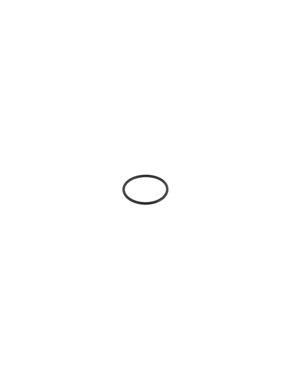 (18) TM clutch support ring O'ring (18) TM clutch support ring O'ring
