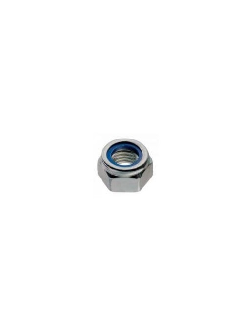 (21) Locknut M6 TM