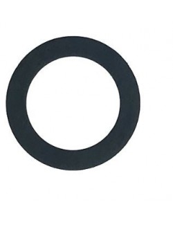 (5) CALE 20x29x0.5mm TM R1