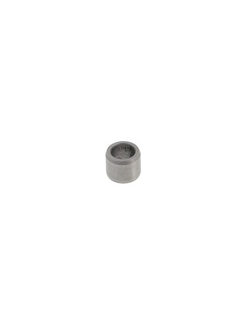 (24) PION TM