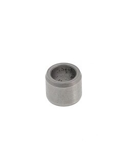 (24) PION TM