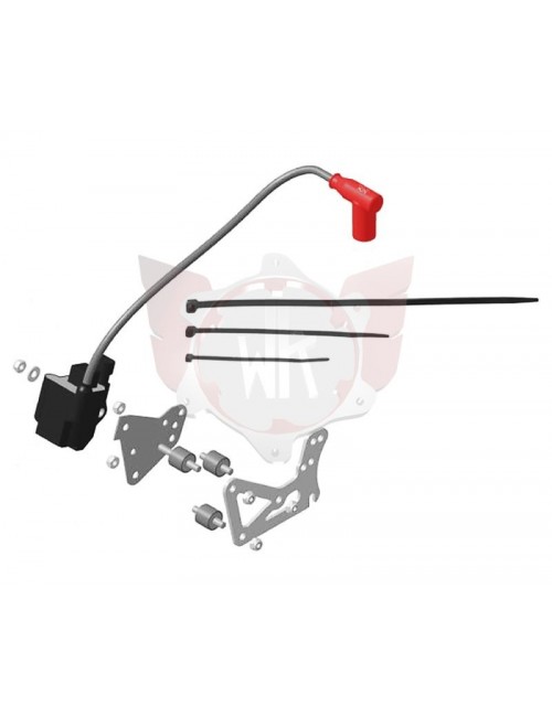 UPGRADE KIT ALLUMAGE MAX 2019 evo