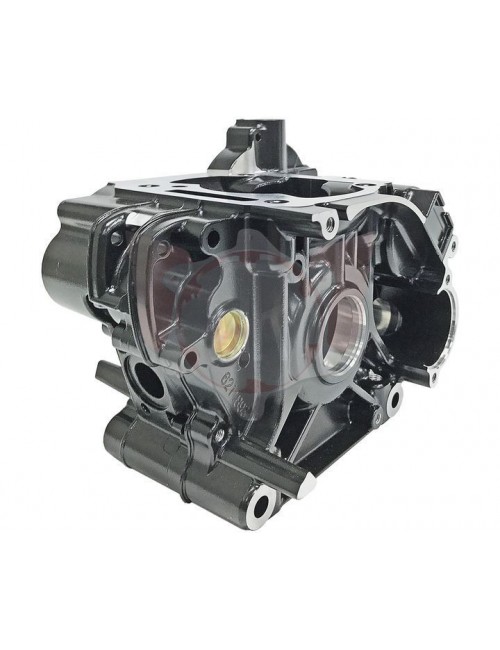 CARTER MOTEUR COMPLET ROTAX MAX EVO NOIR