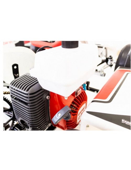 Baby Kart Charles Leclerc