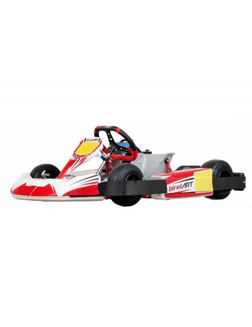 B25-RT E-Kart