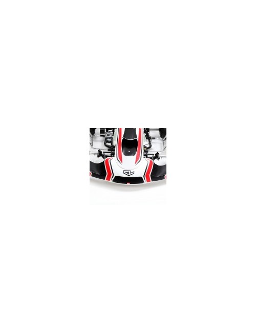 Charles Leclerc CL30-S18...