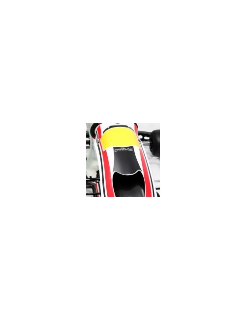 Charles Leclerc CL30-S18...