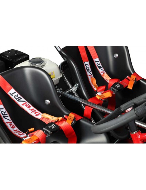 BIREL BI-PLACE