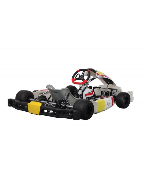 Châssis Charles Leclerc KZ...