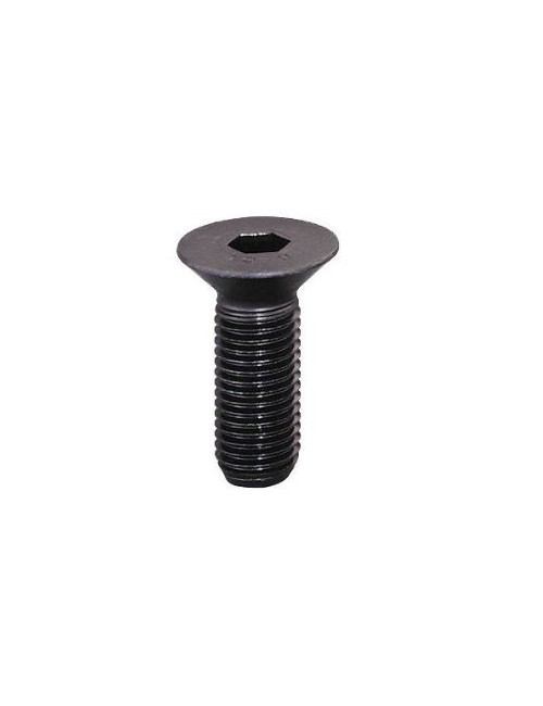VIS FHC M6X16MM CRG