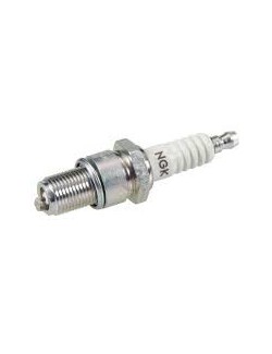 Bougie NGK B10EG - Magickcart