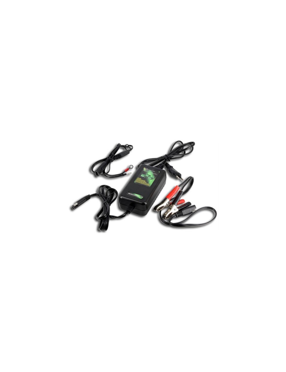 Charger for 220V Lithium Batteries Charger for 220V Lithium Batteries