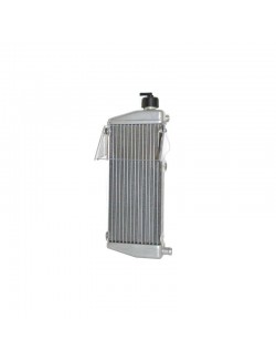 Radiatore con tappo MAX dal 2011 Rotax -MAGICKART