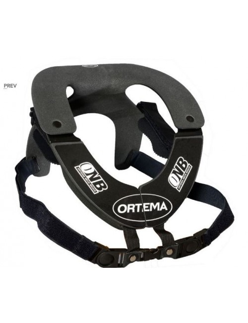  Ortema  ONB, Karting