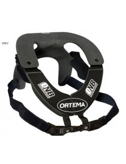  Ortema  ONB, Karting