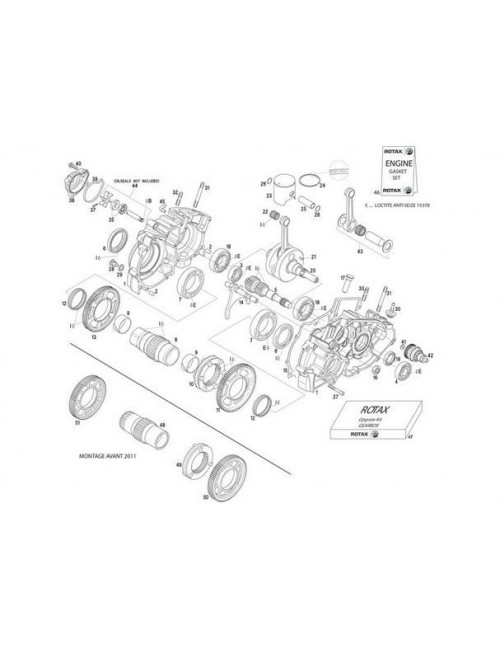 carter ROTAX complet DD2-Magickart