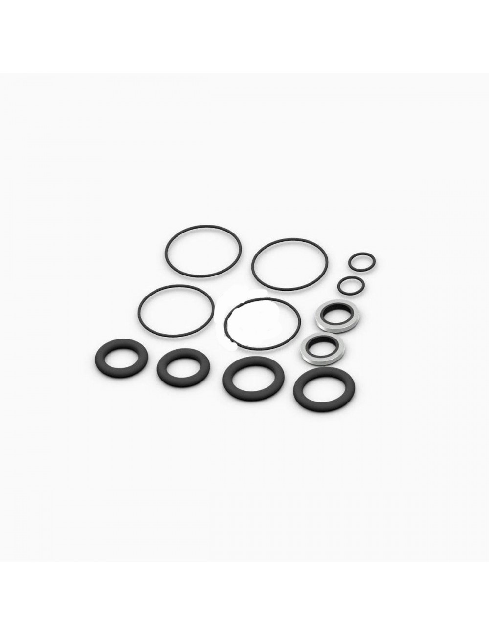 KIT DE REVISION POUR ETRIER ARR. SPEED EVO KIT DE REVISION POUR ETRIER ARR. SPEED EVO