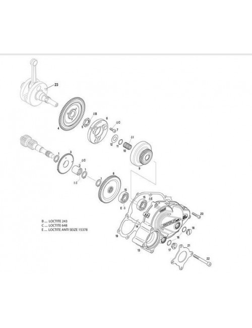 ROTAX Pignon de balancier 50 dts 2020-Magickart