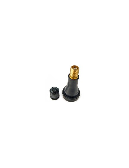 VALVE TUBLESS COURTE