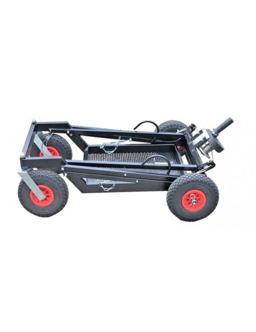 promotion Chariot Dalmi RG chez Magickart