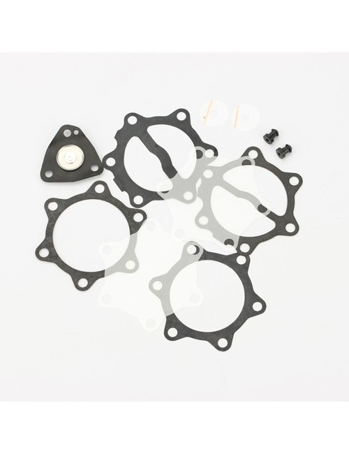 kit de revision pour pompe a essence 35 L (DF52-82)