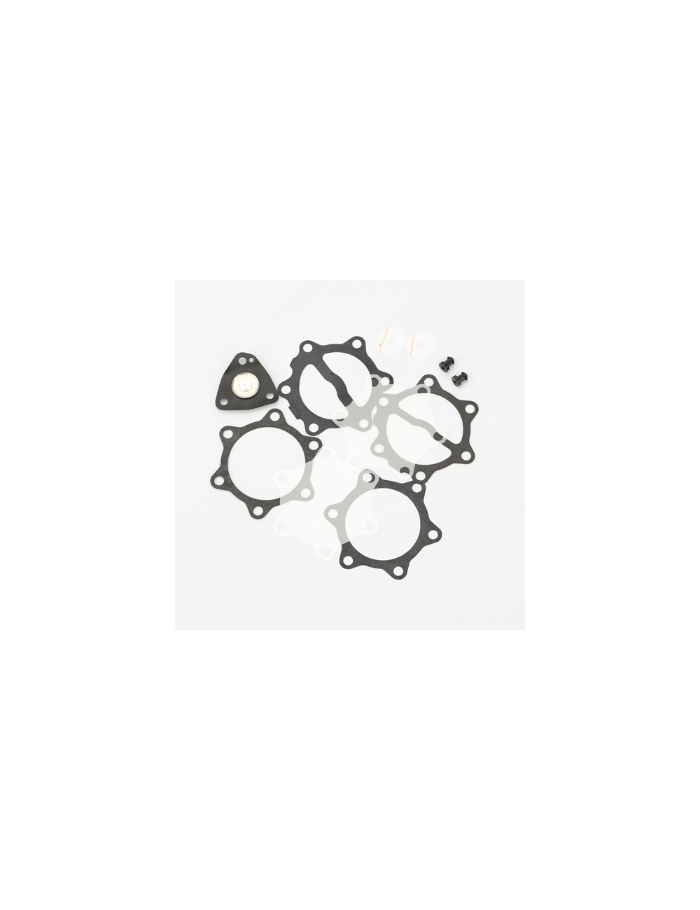 kit de revision pour pompe a essence 35 L (DF52-82) kit de revision pour pompe a essence 35 L (DF52-82)