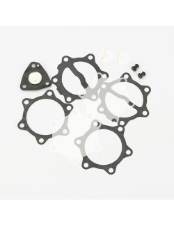 kit de revision pour pompe a essence 35 L (DF52-82)