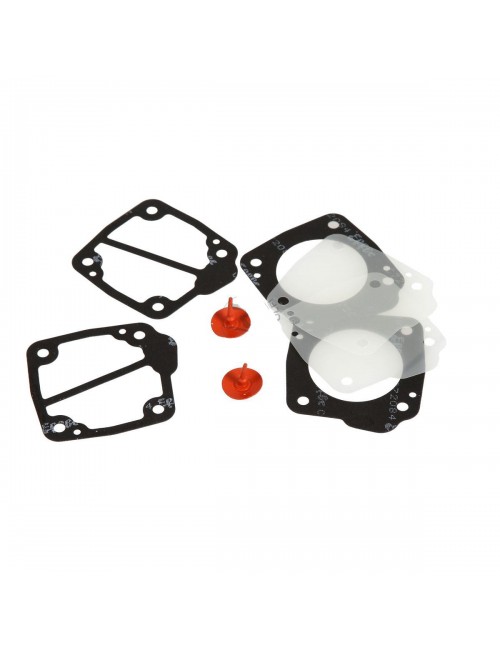 kit  réparation pompe Dellorto P34