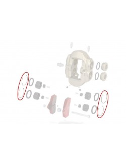 Clips Etrier AV BSS