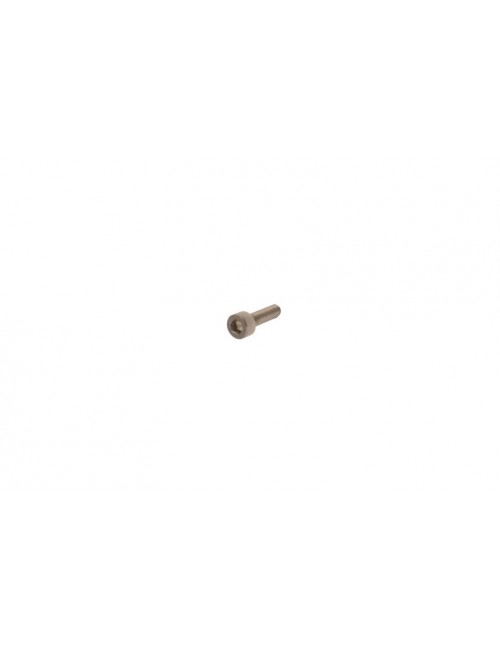 Vis Tête Cylindrique 3 x 10 en Inox