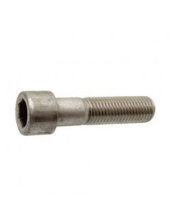 BTR screw M8x45 CRG