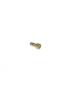 Vis BTR M5x12mm
