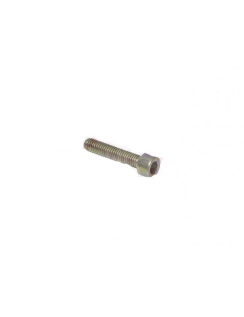 Vis BTR M6x35mm