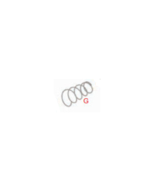 BSM 4 pump spring
