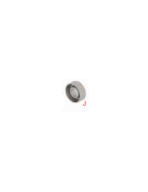 Paraolio