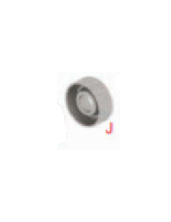 Paraolio