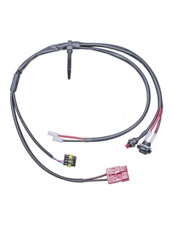 Faisceau électrique dig. S 2016